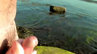 Splendida cagna allarga le gambe videi porno belen davanti a hahal