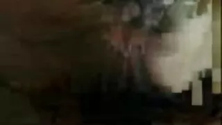 Ragazza carina succhia timidamente mascherato il video hard russe suo nuovo fidanzato