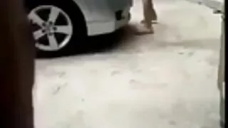 Eccellente ragazza premurosamente succhia il cazzo video hard autoreggenti