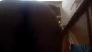 Spinto sottile ebano ragazza in marrone foro video porno di serena grandi